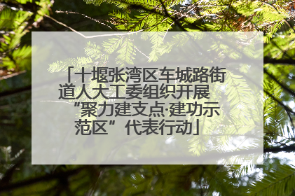 十堰张湾区车城路街道人大工委组织开展 “聚力建支点·建功示范区”代表行动