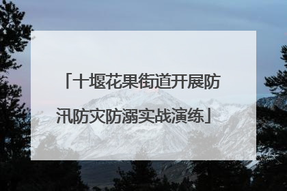 十堰花果街道开展防汛防灾防溺实战演练