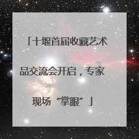 十堰首届收藏艺术品交流会开启，专家现场“掌眼”
