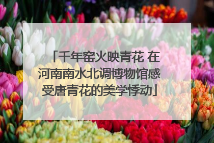 千年窑火映青花 在河南南水北调博物馆感受唐青花的美学悸动