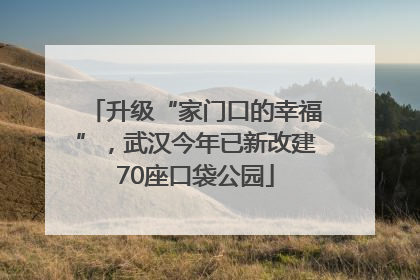 升级“家门口的幸福”，武汉今年已新改建70座口袋公园