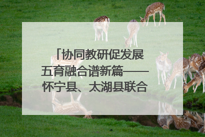 协同教研促发展 五育融合谱新篇——怀宁县、太湖县联合教研活动在月山镇中心学校成功举办