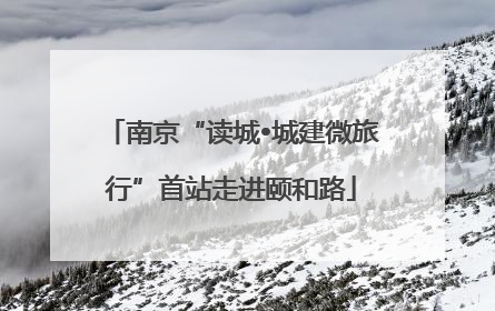 南京“读城•城建微旅行”首站走进颐和路