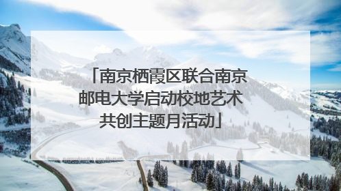 南京栖霞区联合南京邮电大学启动校地艺术共创主题月活动