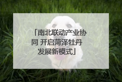南北联动产业协同 开启菏泽牡丹发展新模式