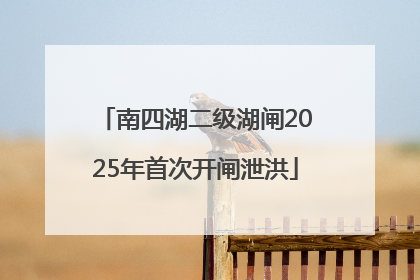 南四湖二级湖闸2025年首次开闸泄洪