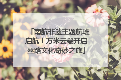 南航非遗主题航班启航！万米云端开启丝路文化奇妙之旅