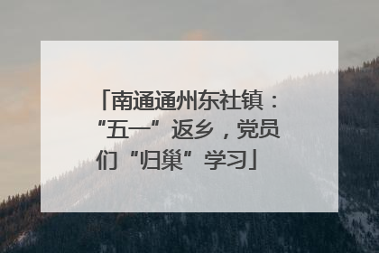 南通通州东社镇：“五一”返乡，党员们“归巢”学习