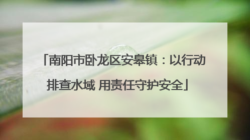 南阳市卧龙区安皋镇：以行动排查水域 用责任守护安全