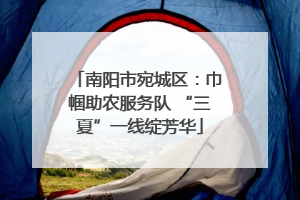南阳市宛城区：巾帼助农服务队 “三夏”一线绽芳华