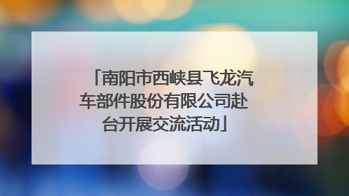 南阳市西峡县飞龙汽车部件股份有限公司赴台开展交流活动