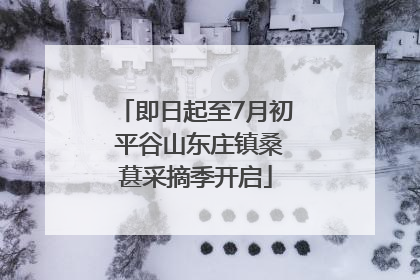 即日起至7月初 平谷山东庄镇桑葚采摘季开启