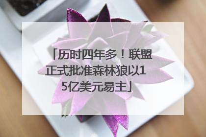 历时四年多！联盟正式批准森林狼以15亿美元易主