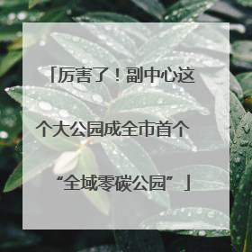 厉害了！副中心这个大公园成全市首个“全域零碳公园”