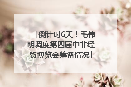 倒计时6天！毛伟明调度第四届中非经贸博览会筹备情况