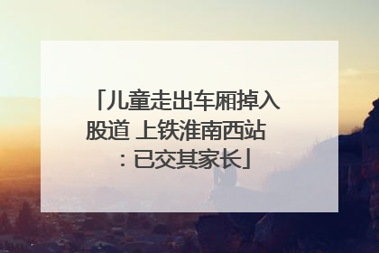 儿童走出车厢掉入股道 上铁淮南西站：已交其家长