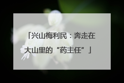 兴山梅利民：奔走在大山里的“药主任”