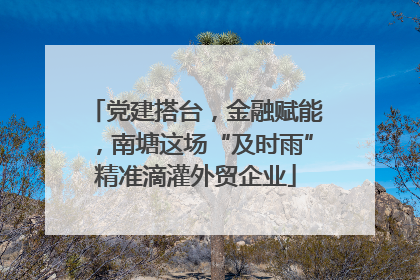 党建搭台，金融赋能，南塘这场“及时雨”精准滴灌外贸企业
