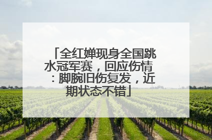 全红婵现身全国跳水冠军赛，回应伤情：脚腕旧伤复发，近期状态不错