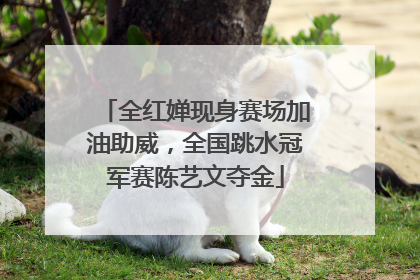 全红婵现身赛场加油助威，全国跳水冠军赛陈艺文夺金