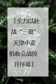 全力以赴战“三夏” 天津小麦机收会战拉开序幕