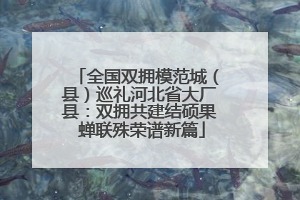 全国双拥模范城（县）巡礼河北省大厂县：双拥共建结硕果 蝉联殊荣谱新篇