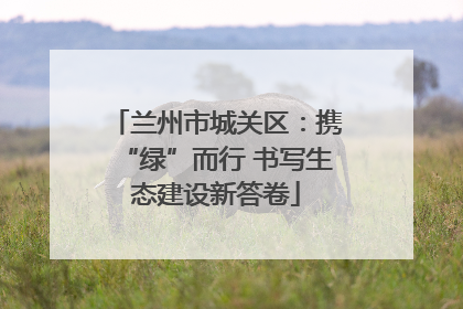 兰州市城关区：携“绿”而行 书写生态建设新答卷