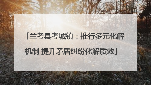 兰考县考城镇：推行多元化解机制 提升矛盾纠纷化解质效