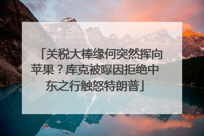 关税大棒缘何突然挥向苹果？库克被曝因拒绝中东之行触怒特朗普