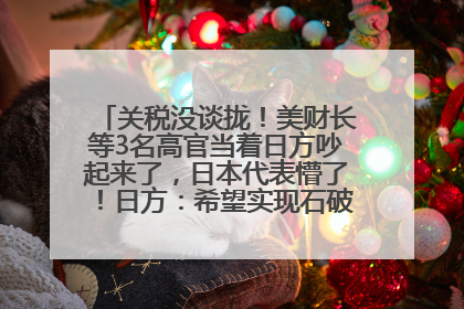 关税没谈拢！美财长等3名高官当着日方吵起来了，日本代表懵了！日方：希望实现石破茂与特朗普的会晤
