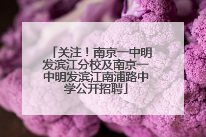 关注！南京一中明发滨江分校及南京一中明发滨江南浦路中学公开招聘