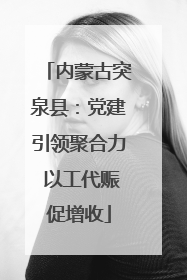 内蒙古突泉县：党建引领聚合力 以工代赈促增收