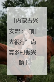 内蒙古兴安盟：“阳光银行”点亮乡村振兴路