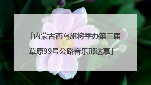内蒙古西乌旗将举办第三届草原99号公路音乐那达慕