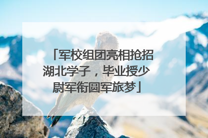军校组团亮相抢招湖北学子，毕业授少尉军衔圆军旅梦