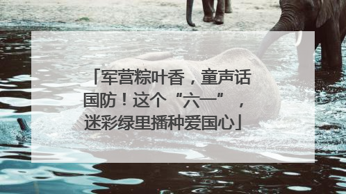 军营粽叶香，童声话国防！这个“六一”，迷彩绿里播种爱国心