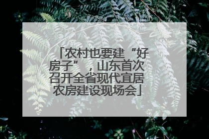 农村也要建“好房子”，山东首次召开全省现代宜居农房建设现场会