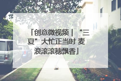 创意微视频｜“三夏”大忙正当时 麦浪滚滚穗飘香