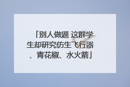 别人做题 这群学生却研究仿生飞行器、青花椒、水火箭