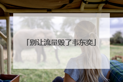 别让流量毁了韦东奕