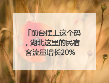前台摆上这个码，湖北这里的民宿客流量增长20%｜湖北市场监管所的故事