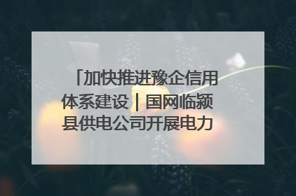 加快推进豫企信用体系建设｜国网临颍县供电公司开展电力行业信用企业现场咨询访谈工作