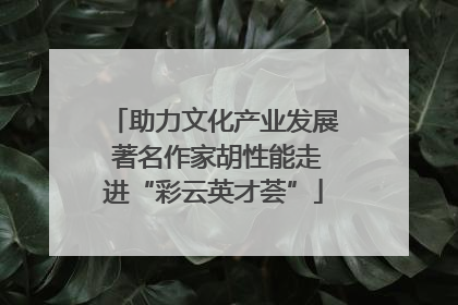 助力文化产业发展 著名作家胡性能走进“彩云英才荟”