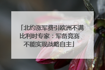 北约涨军费引欧洲不满 比利时专家：军备竞赛不能实现战略自主
