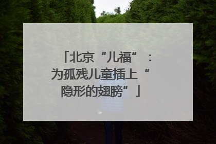 北京“儿福”：为孤残儿童插上“隐形的翅膀”