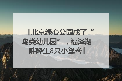 北京绿心公园成了“鸟类幼儿园”,福泽湖畔降生8只小鸳鸯