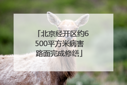 北京经开区约6500平方米病害路面完成修缮