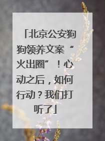 北京公安狗狗领养文案“火出圈”！心动之后，如何行动？我们打听了