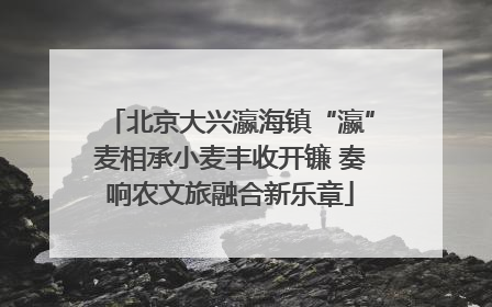 北京大兴瀛海镇“瀛”麦相承小麦丰收开镰 奏响农文旅融合新乐章