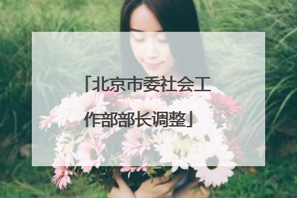北京市委社会工作部部长调整